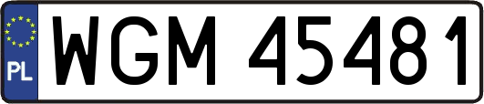 WGM45481