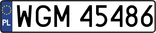 WGM45486