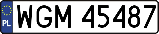 WGM45487