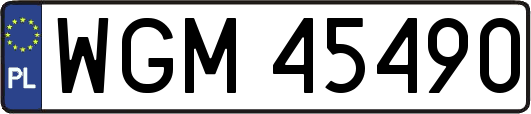 WGM45490
