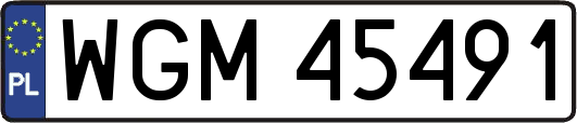 WGM45491