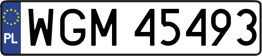 WGM45493