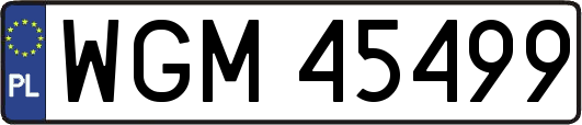 WGM45499