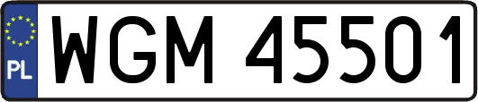 WGM45501