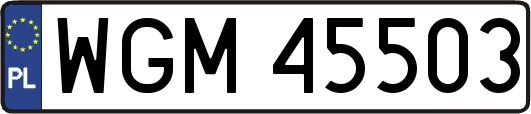 WGM45503