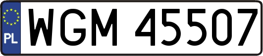 WGM45507
