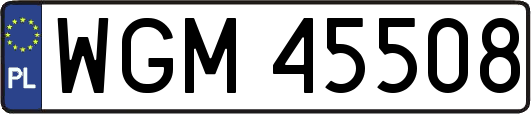WGM45508