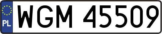 WGM45509