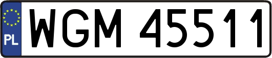 WGM45511