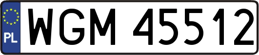 WGM45512