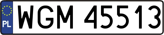 WGM45513