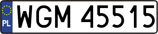 WGM45515