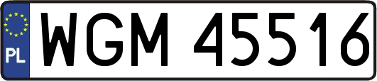 WGM45516