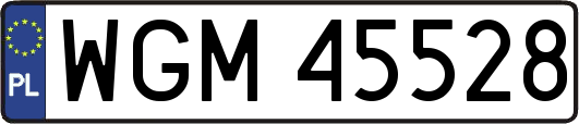 WGM45528