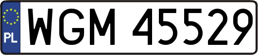 WGM45529