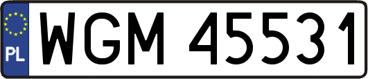 WGM45531