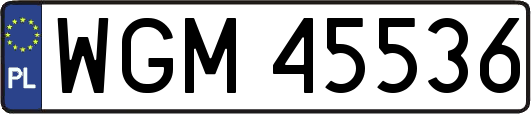 WGM45536