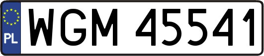 WGM45541