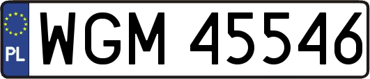 WGM45546