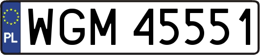WGM45551