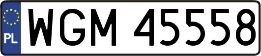 WGM45558
