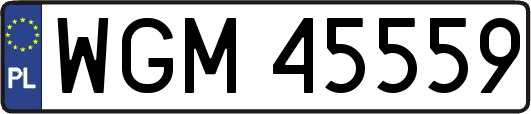 WGM45559