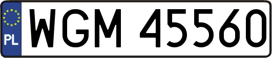 WGM45560