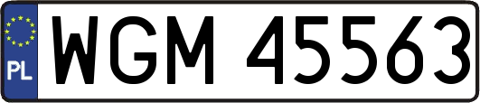 WGM45563