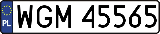 WGM45565