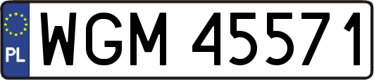 WGM45571