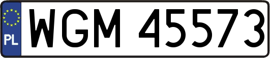 WGM45573
