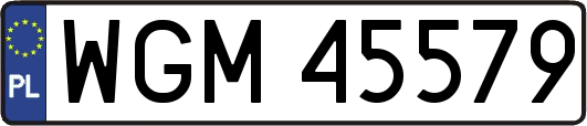 WGM45579