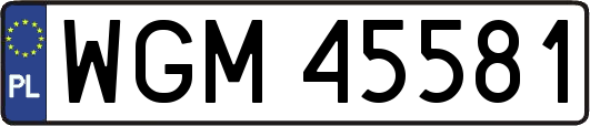 WGM45581