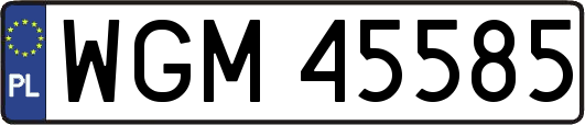 WGM45585
