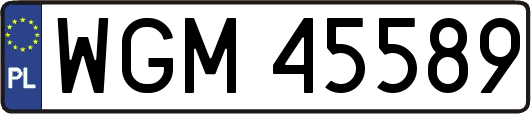 WGM45589