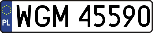 WGM45590