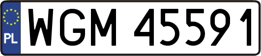 WGM45591