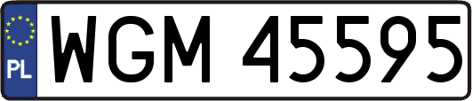 WGM45595