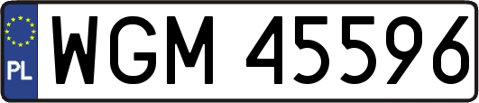 WGM45596