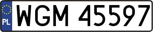 WGM45597