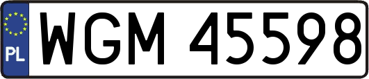 WGM45598