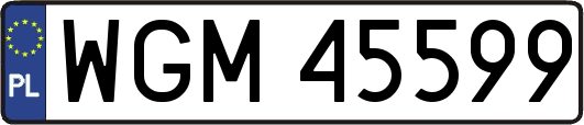 WGM45599