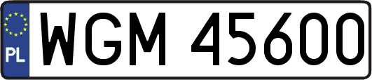 WGM45600