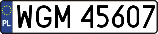WGM45607