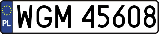 WGM45608
