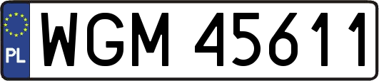 WGM45611