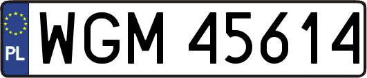 WGM45614