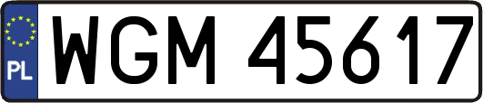 WGM45617