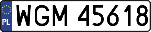 WGM45618