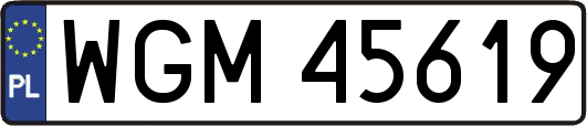 WGM45619